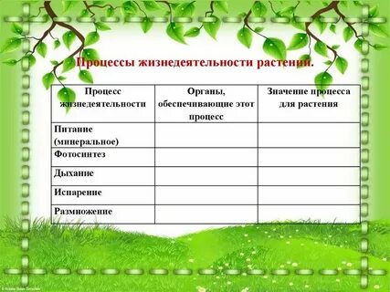 Осень в жизни растений биология