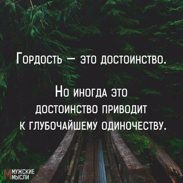 Когда гордость становится разрушительной. Цитаты про гордость. афоризмы про гордость. гордыня цитаты. статусы про гордость.