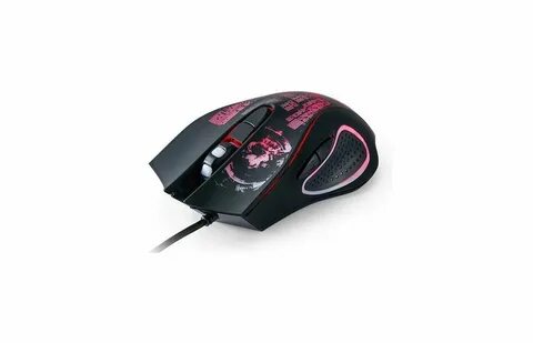 Qumo dragon