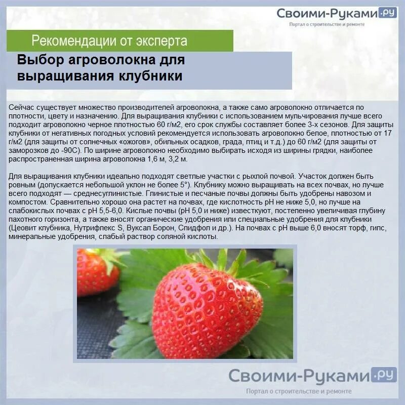 Ягоды кислотность. Кислотность почвы для земляники таблица. РН почвы для клубники. PH для клубники. Кислотность почвы для клубники.