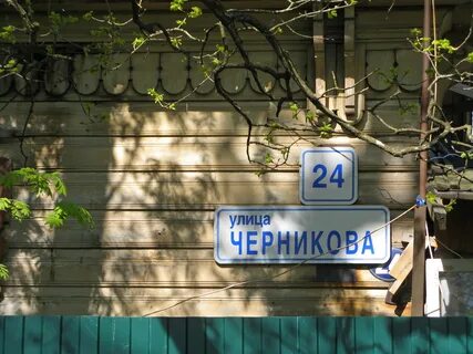 Ломоносов черникова
