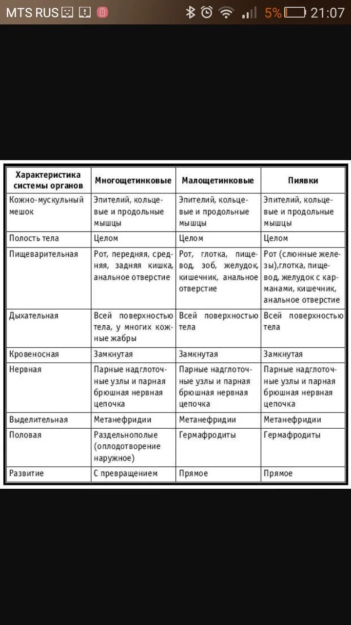 Пищеварительная система малощетинковых червей таблица. Особенности строения многощетинковых червей таблица. Сравнение малощетинковых и многощетинковых червей таблица. Сравнительная характеристика кольчатых червей таблица 7 класс.