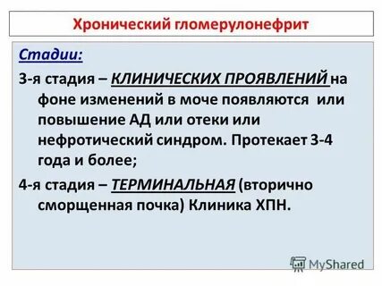 Протекала 3