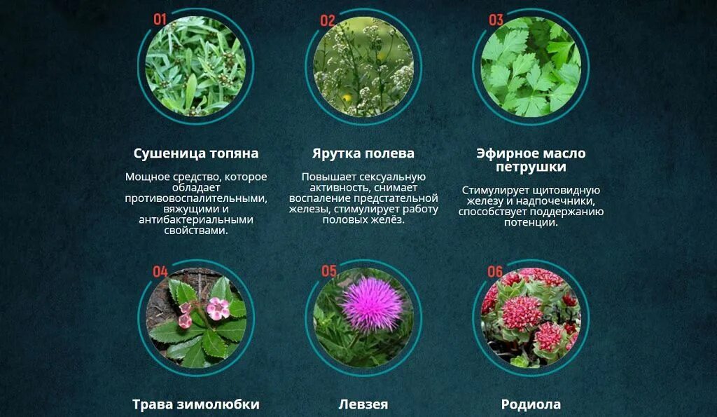 Народные средства повышения. Настойки адаптогены в аптеках. Растения повышающие тестостерон. Растения повышающие тестостерон. Якорцы трибулус стелющиеся в таблетках.