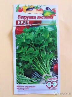 Петрушка семена лучшие