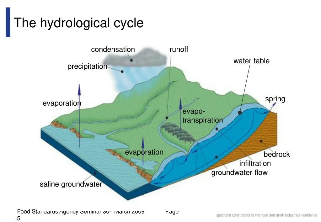 Through the cycle. Infiltration (hydrology). evaporation transpiration precipitation condensation. systems of representation hydrological cycle diagram. hydrological study.