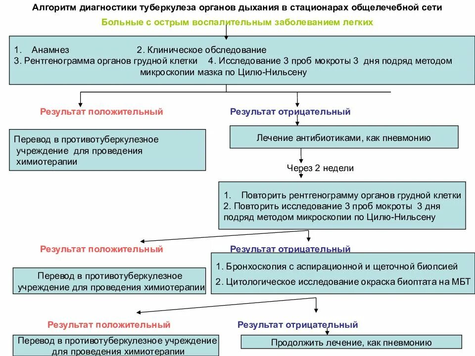 Алгоритм туберкулеза. Алгоритм обследования туберкулёзного больного. алгоритм диагностики туберкулеза. алгоритм выявления больных туберкулезом. план обследования при туберкулезе легких.