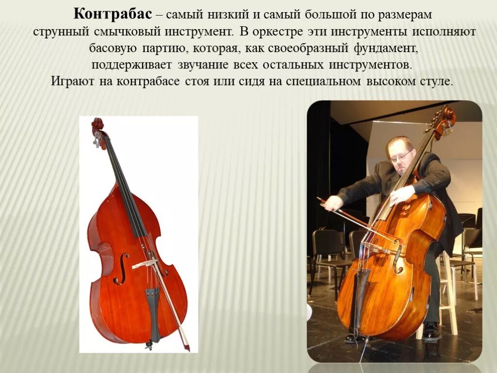 Струнно смычковые инструменты контрабас. Октобас струнный музыкальный инструмент. Контрабас струнные смычковые музыкальные инструменты. Виолончель Альт скрипка струнные смычковые. Как называют скрипку