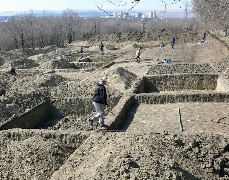 В окрестностях найдено