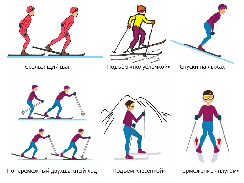 Уровень лыжника. Лыжные ходы спуски подъемы торможения. Техника лыжных ходов спуски подъемы. Спуски и подъемы на лыжах схемы. Виды лыжных ходов спуск.