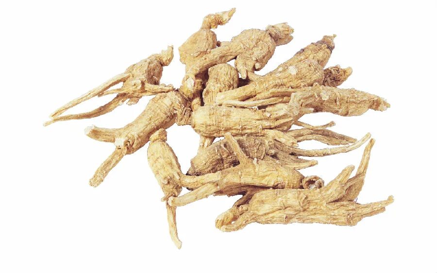 Raw root