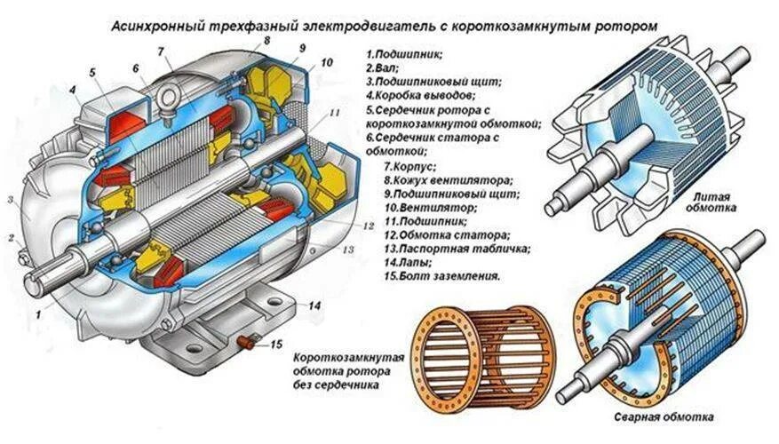 Устройство х. Строение асинхронного электродвигателя с короткозамкнутым ротором. конструкция 3 фазного асинхронного двигателя. устройство асинхронного двигателя с короткозамкнутым ротором схема. устройство асинхронного эл двигателя с короткозамкнутым ротором.