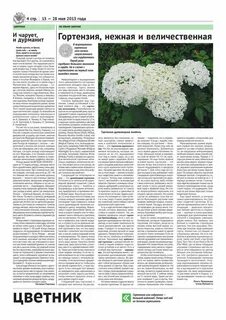 Кислотность почвы для гортензии