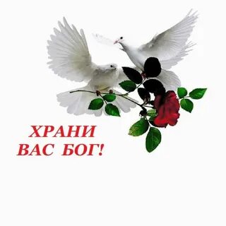 Хранима будь песня