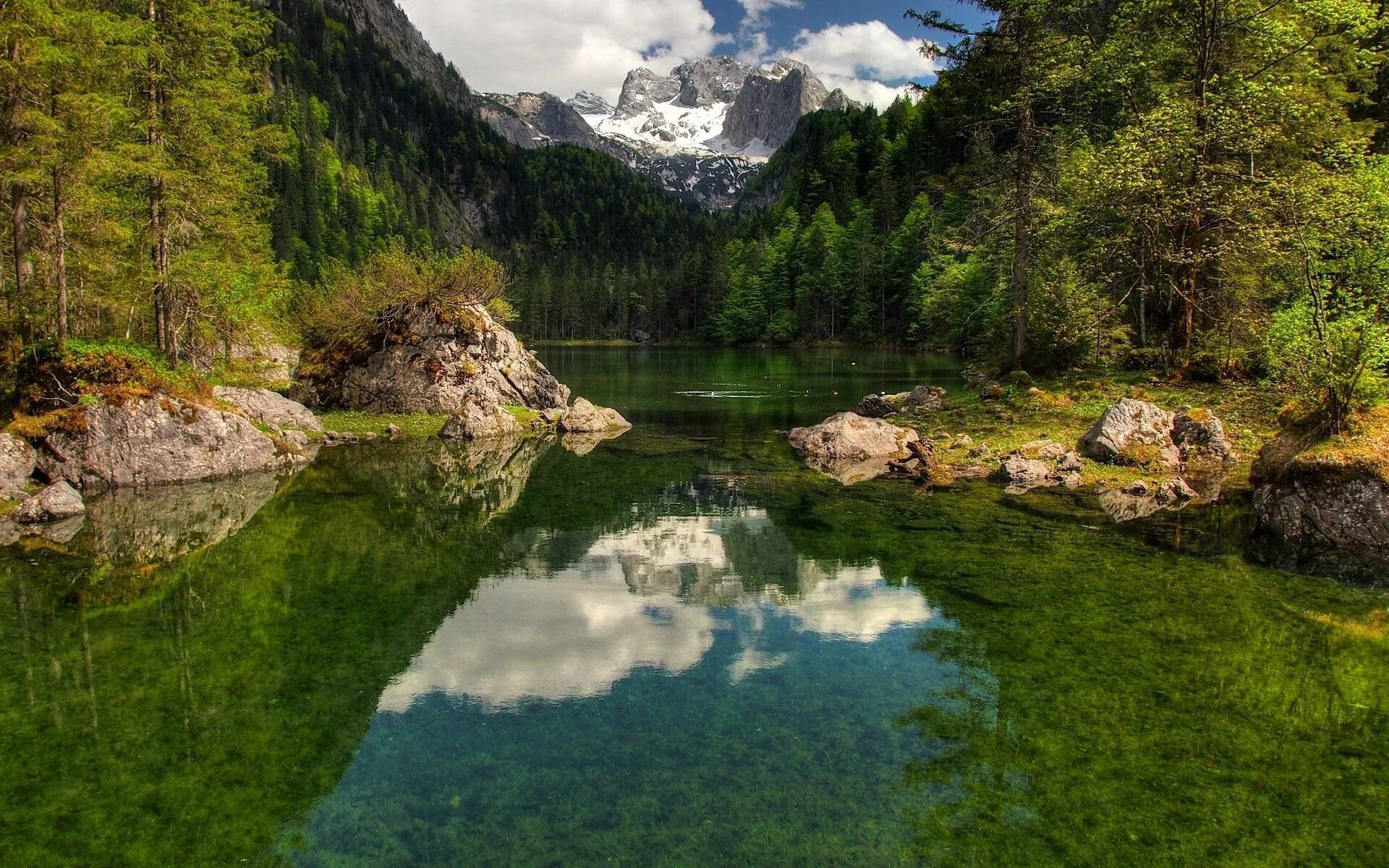 Nature search