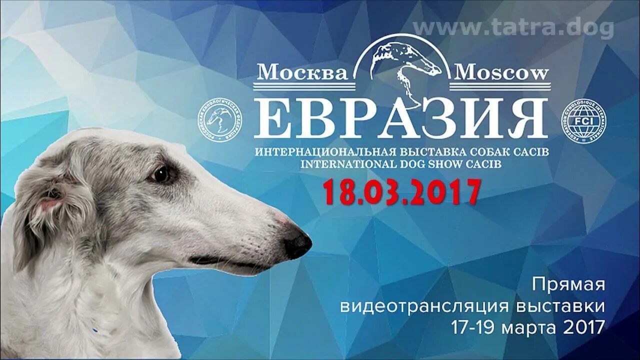 Выставка Евразия. Евразия собачья выставка. Выставки собак Евразия в Москве. Евразия выставка собак логотип.