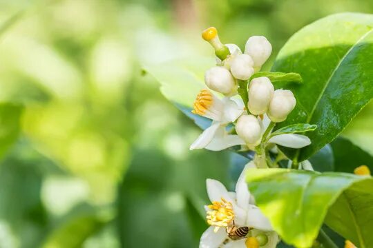 winlyrung photos, images, assets Adobe Stock
