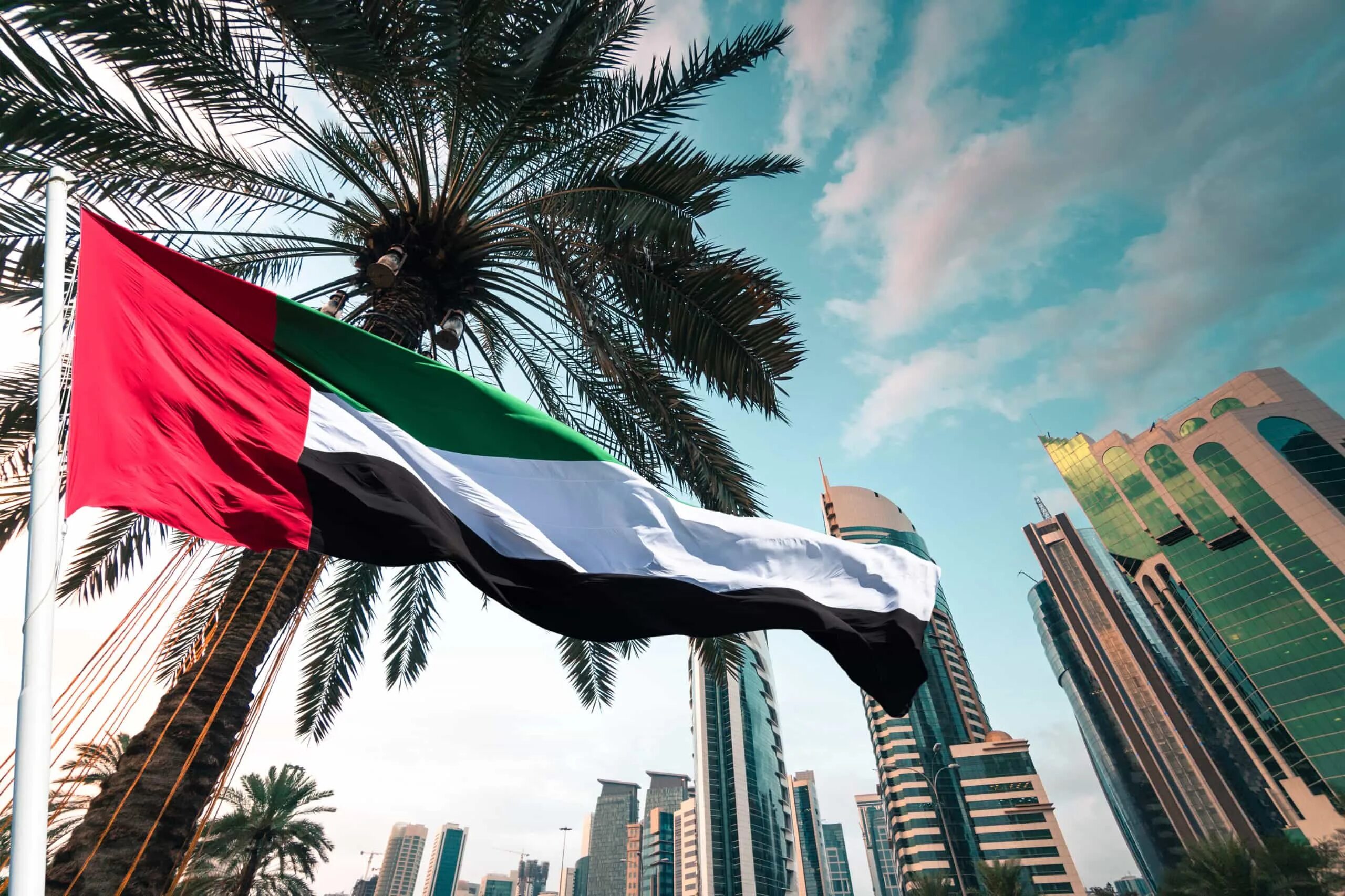 Uae law. Флаг Дубая. Флаг арабских Эмиратов. United arab Emirates флаг. Флаг арабских Эмиратов Дубай.