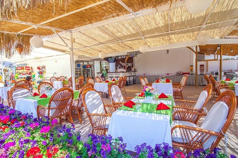 Dreams beach 5*. Jaz sharm dreams resort 5*. Dream of side hotel 3. Дримс тур. All inclusive египет.