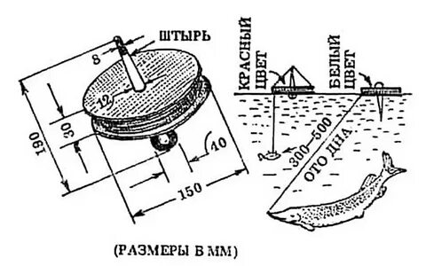 Ловля на кружки