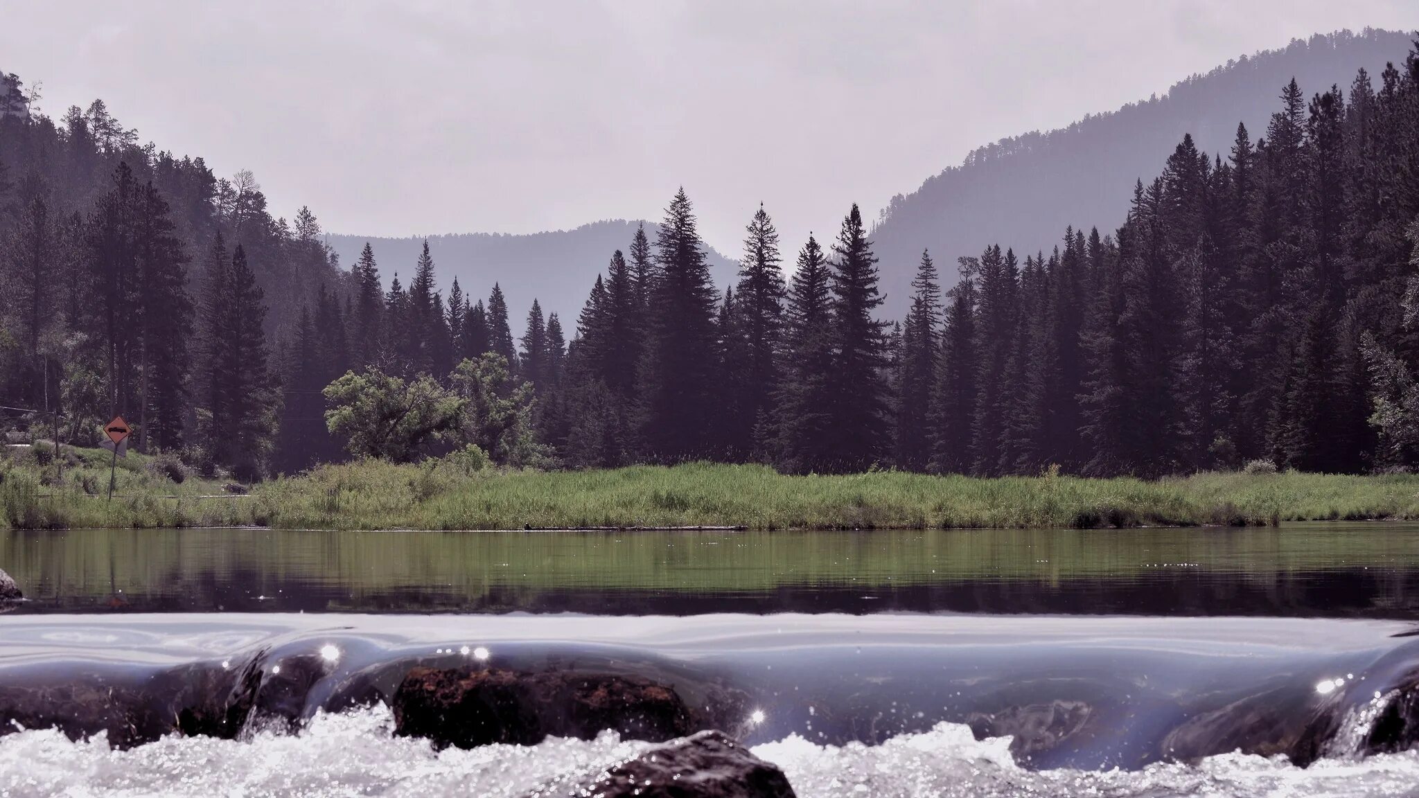 Таежная река Енисей. В тайге, у Енисея. Природа тайги. Воды тайги.