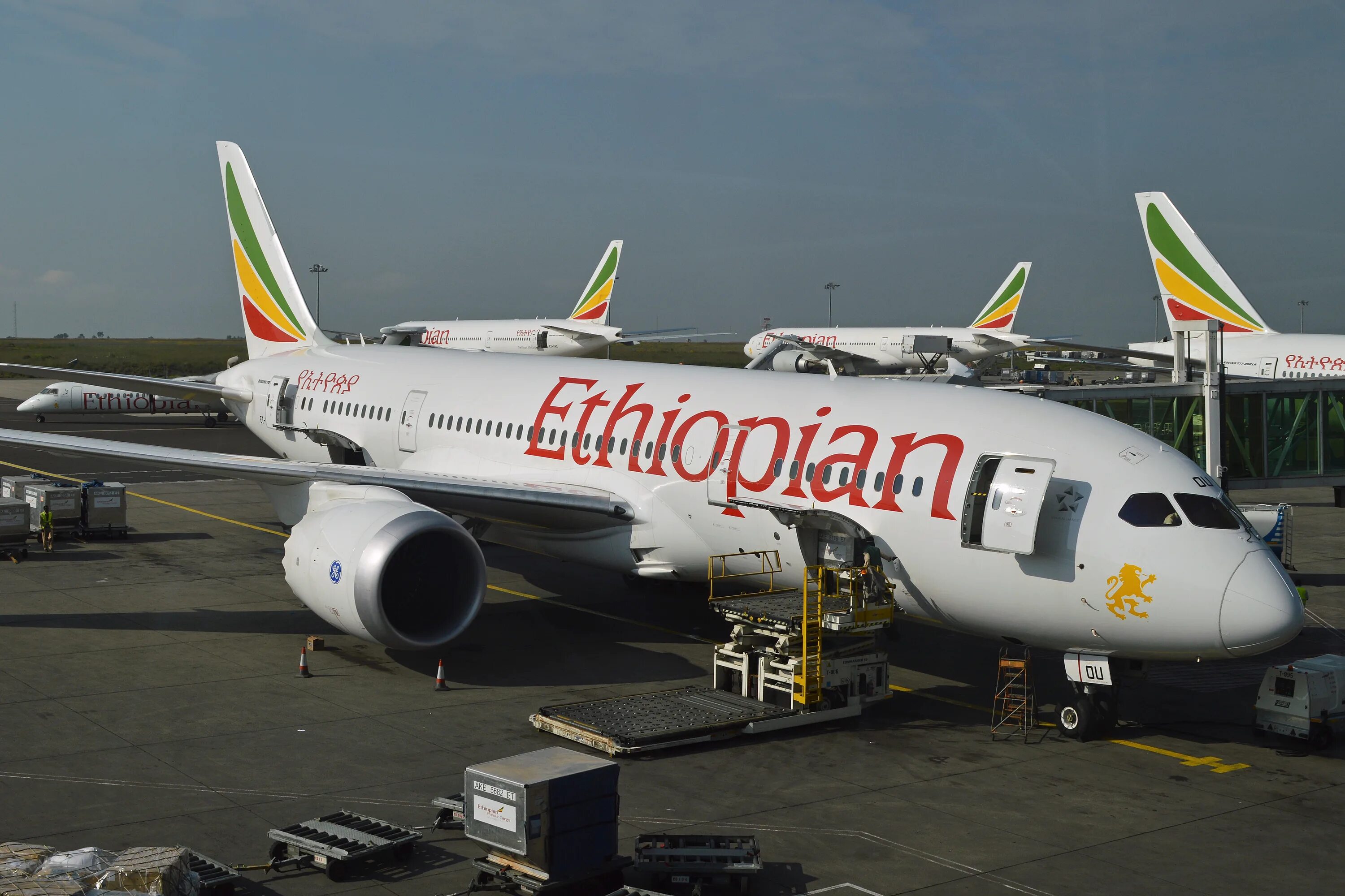 Ethiopian airlines рейс. Авиакомпания Эфиопиан Эйрлайнс. Эфиопиан Эйрлайнс 787. Боинг 787 Ethiopian. Boeing 787-8 Эфиопия Эйрлайнс.