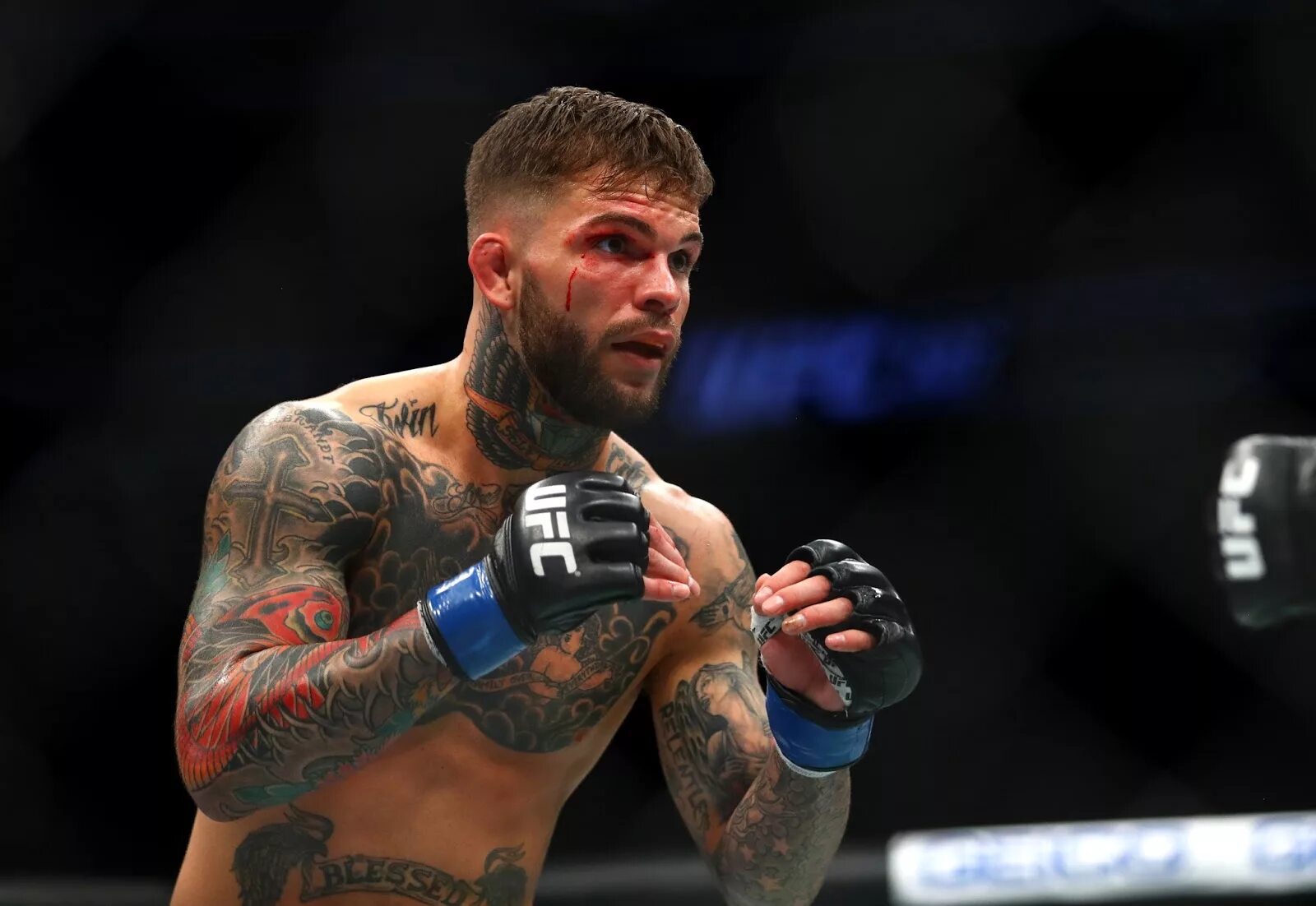 Гарбрандт. Боец Cody Garbrandt. UFC Cody Garbrandt. Коди Гарбрандт юфс прическа. Боец ММА Коди Гарбрандт.