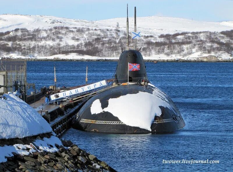 АПЛ пантера проекта 971. Атомная подводная лодка Видяево. АПЛ 971 щука-б пантера. АПЛ «К-317» («пантера»).