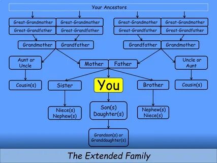 Your father sister is your aunt