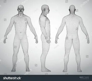 Human full