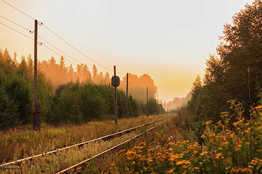 тэп70 в тумане. железная дорога летом. красивая железная дорога. железнодорожное полотно. летняя дорога.