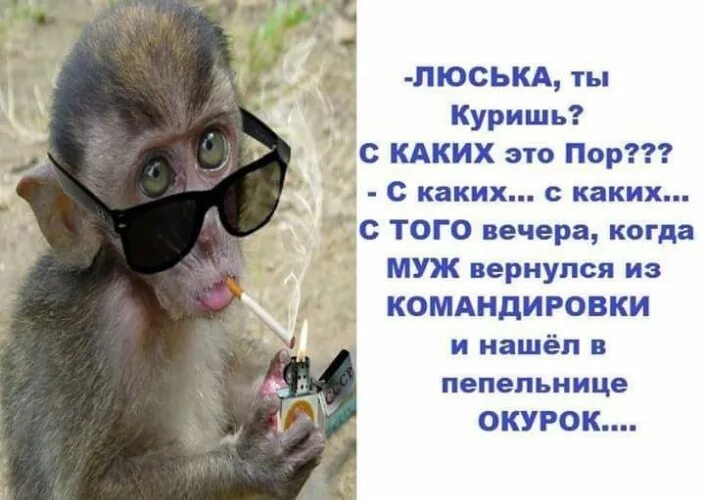 Люська люська ты меня прости. Люська люська ты меня прости. Анекдот про подруг в старости. Юмор про люську. Смешные картинки про люську.
