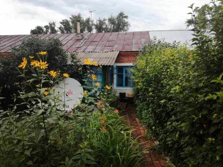 Село Новопервомайское. Новосибирская область поселок Новопервомайское. Новопервомайское татарский район участок. Новопервомайское недвижимость. Авито татарск дом