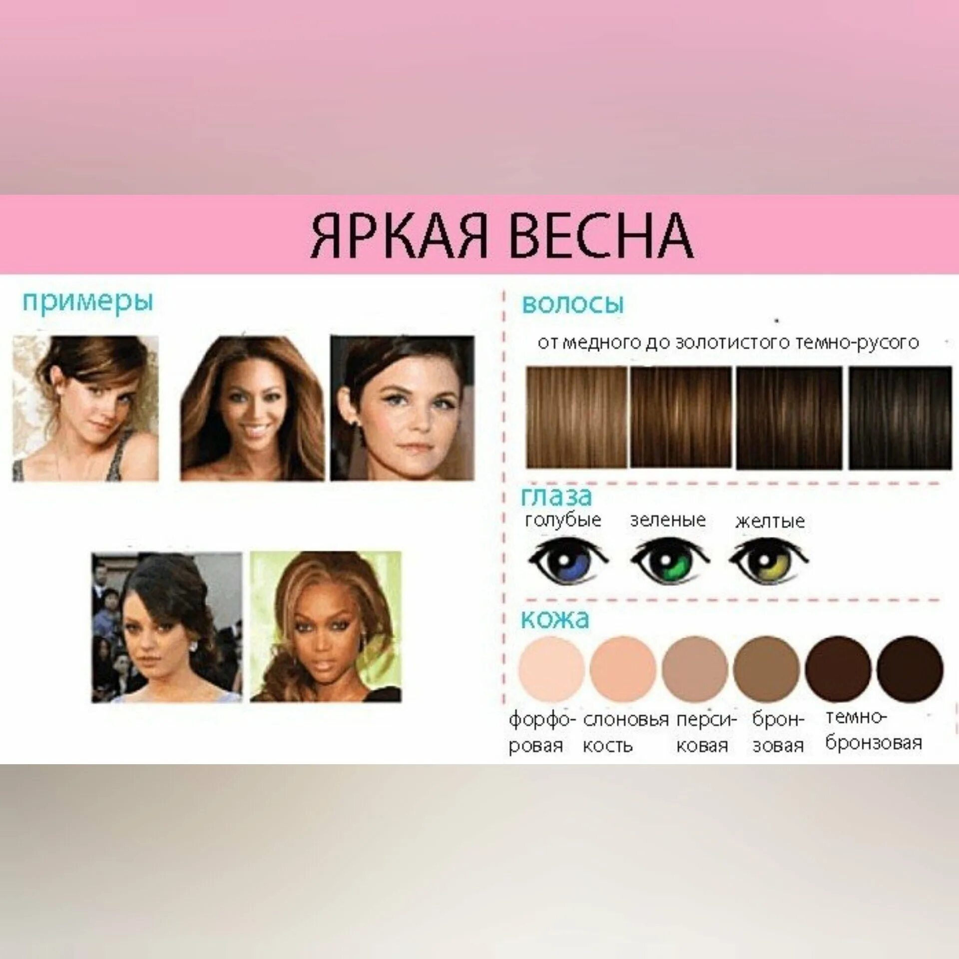 Ева мендес цветотип. Джулия робертс цветотип внешности. Тёмная зима цветотип палитра. Окрашивание для цветотипа осень. Тёплая весна цветотип внешности.
