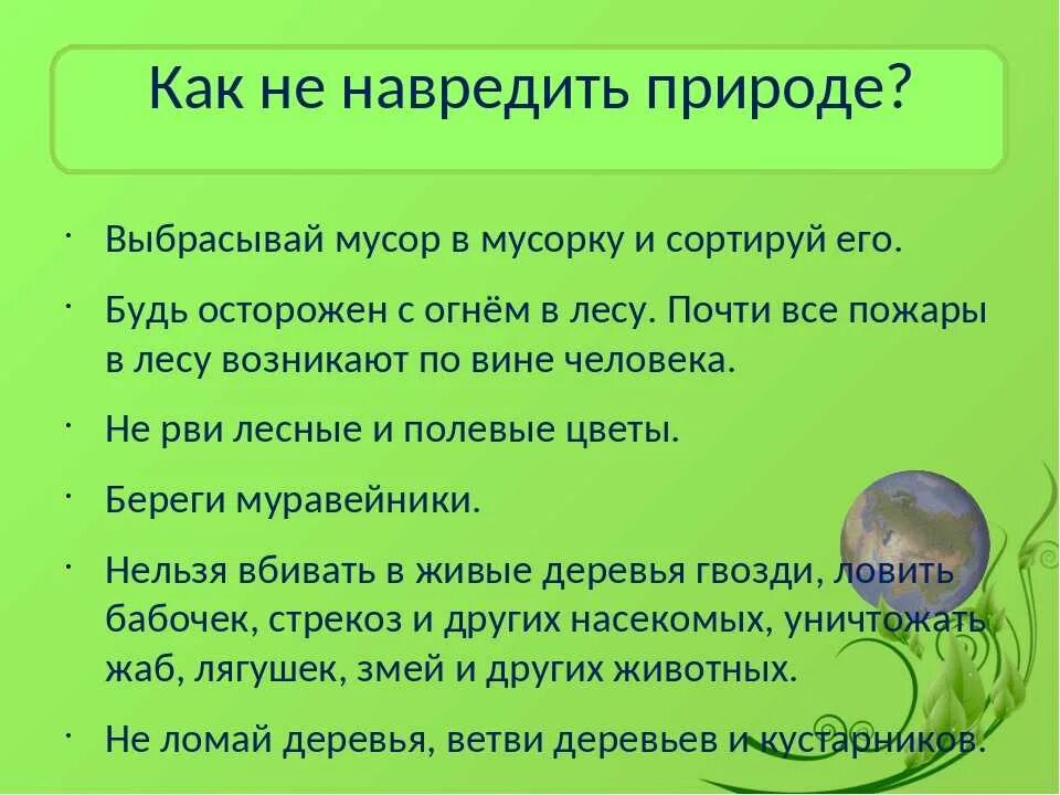 Как человек может помочь природе