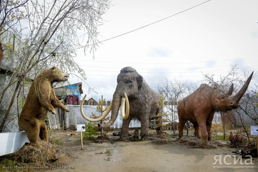 Урдэл парк. Урдэл парк Якутск. Парк динозавров Якутск. Якутск парк динозавров Файзель.