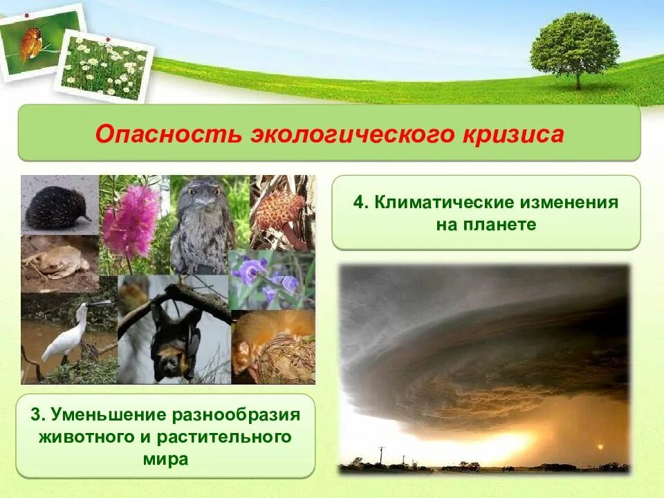 Воздействие общества на природу противоречиво