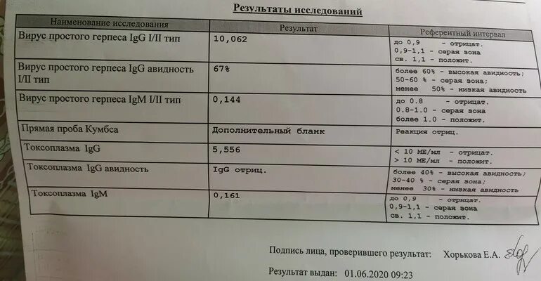 Chlamydia trachomatis igg. Торч анализ. Анализ на торч инфекции при беременности. Направление на торч инфекции бланк. Torch анализ.