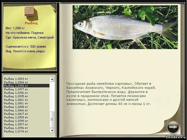 рыбец 64 сайт