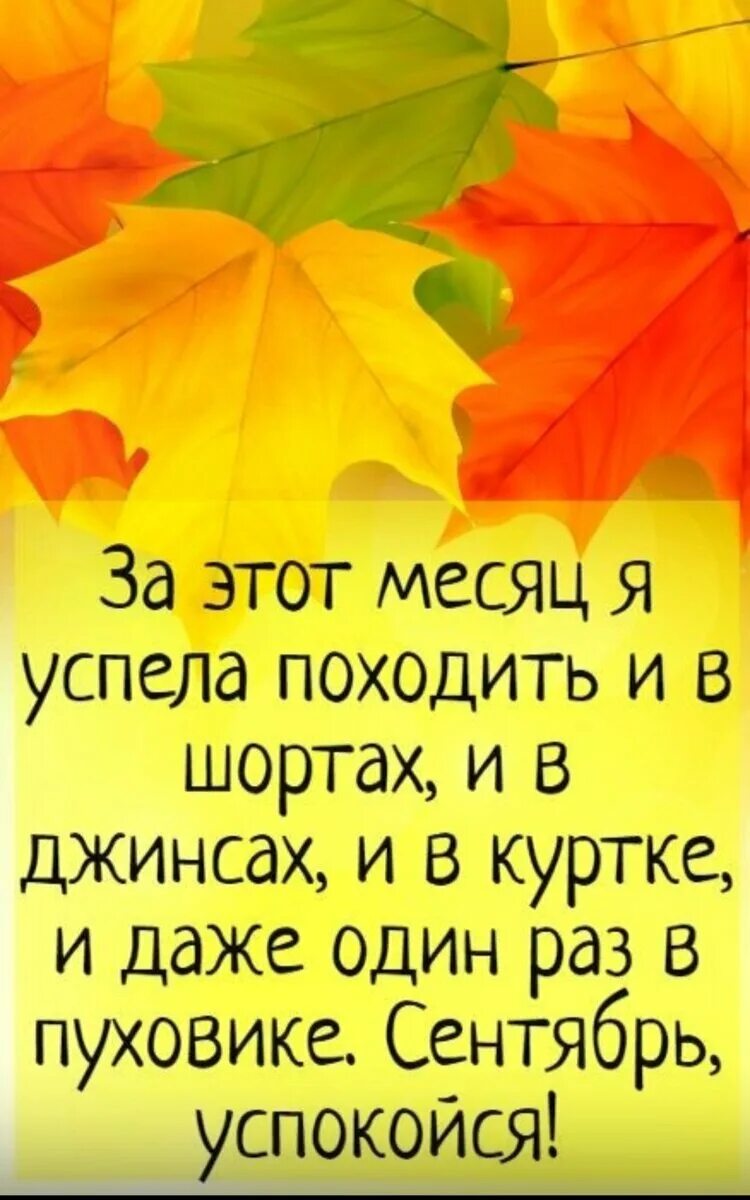 Статусы сентябрь 2020. Осенние афоризмы Веселые. Смешные высказывания про осень. Статусы про осень. Осенние статусы в картинках.