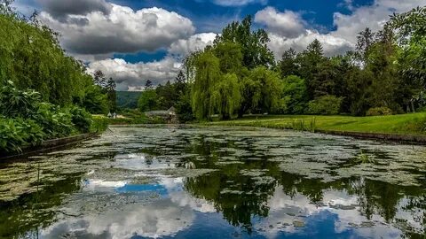 Lower water