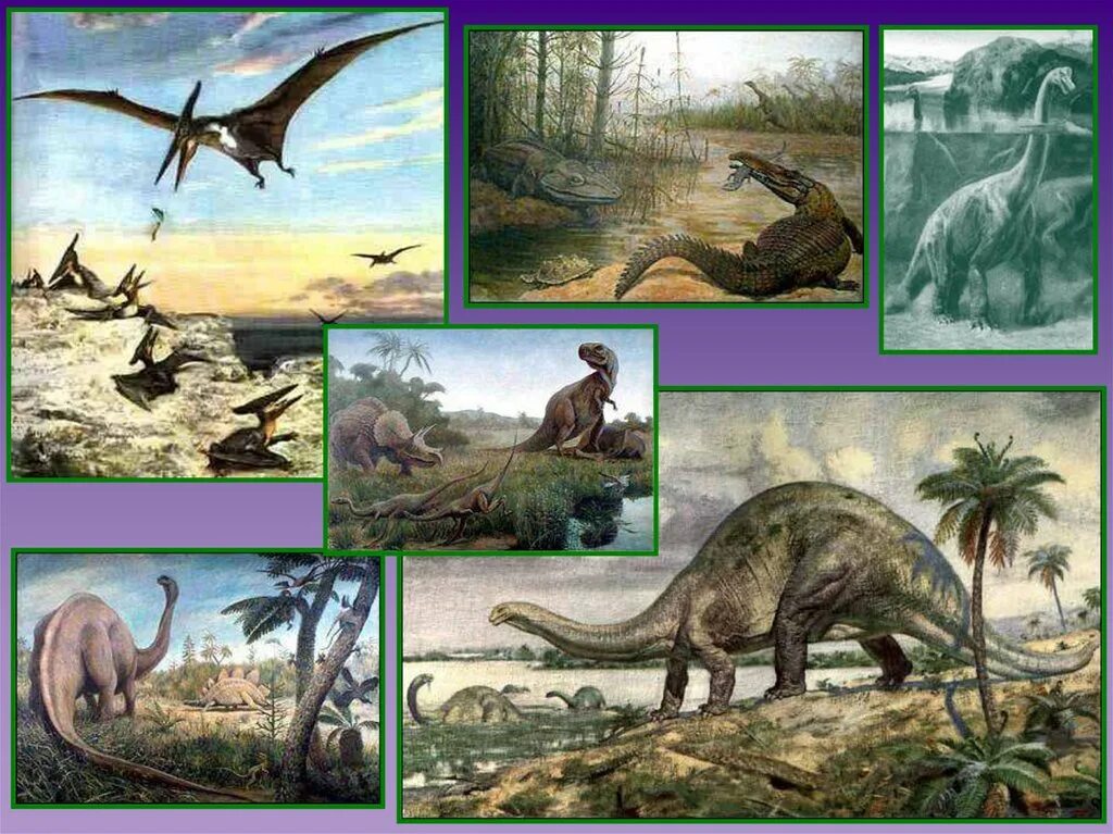 сколько лет назад жили динозавры. в каком веке жили динозавры. как появились динозавры на земле. появление динозавров. меловой период презентация.