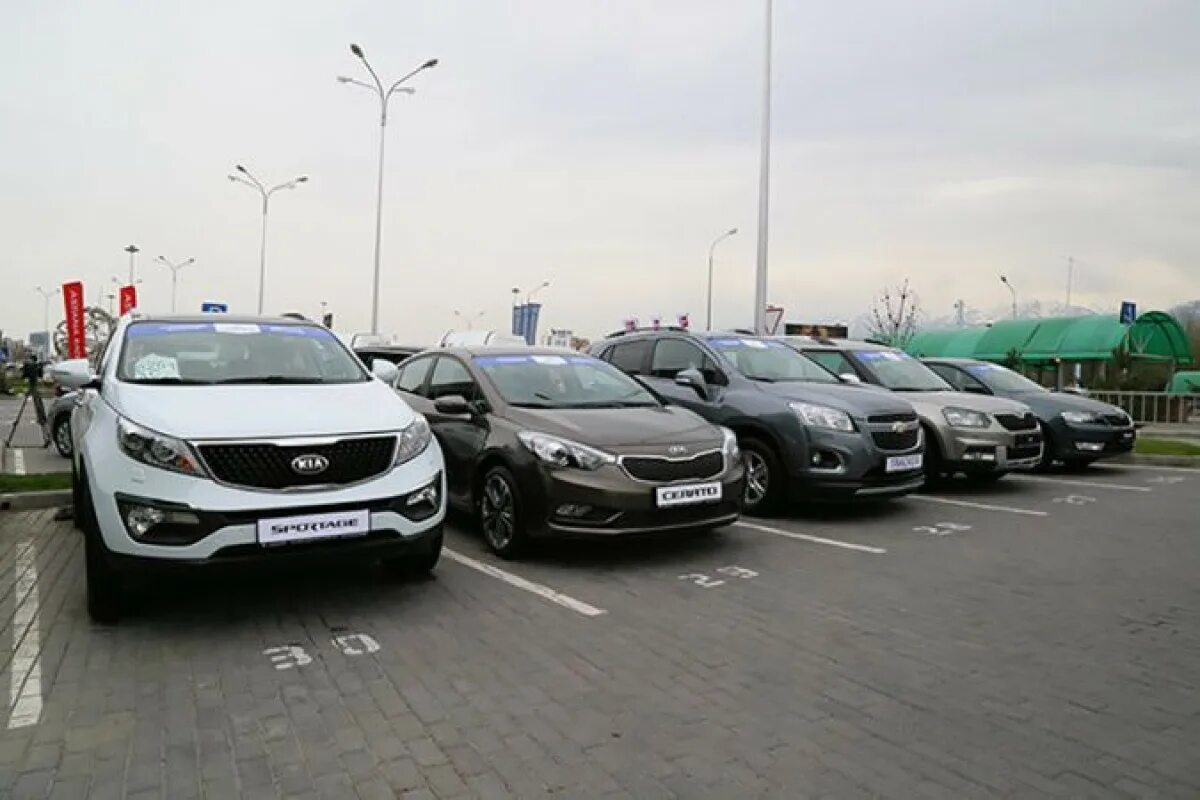 Льготный автокредит. Автокредит в узбекистане 2022 году. Тамерлан моторс шымкент тамерлановское шоссе 115. Льготное автокредитование. Авто в кредит в казахстане.