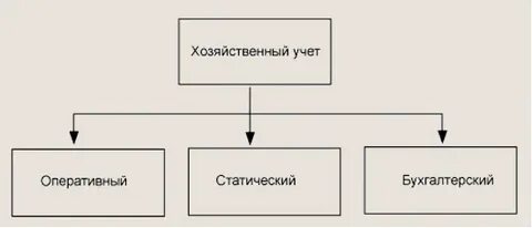 Виды учета в системе хозяйственного учета