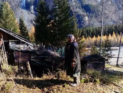 Отшельники в тайге