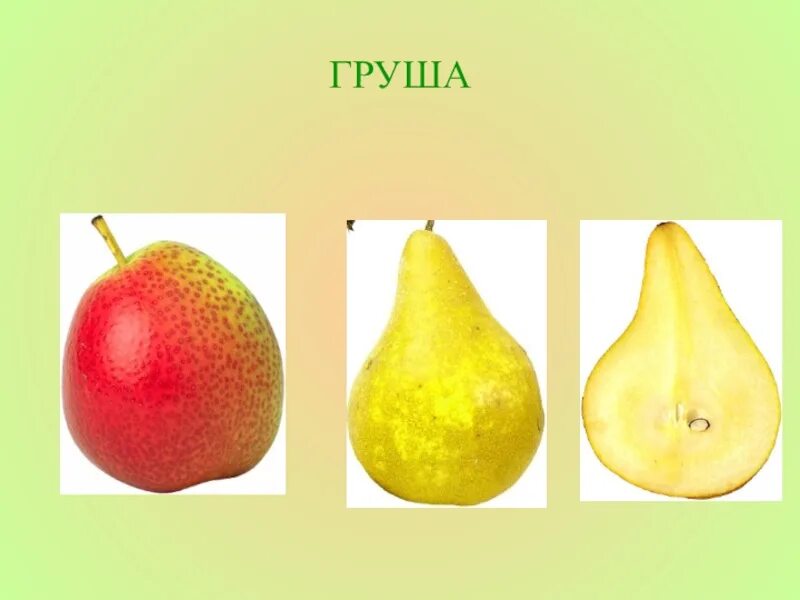 Загадка про грушу. Груша 2 класс. 3d модель груши. Груша для презентации. Груша 2 класс.