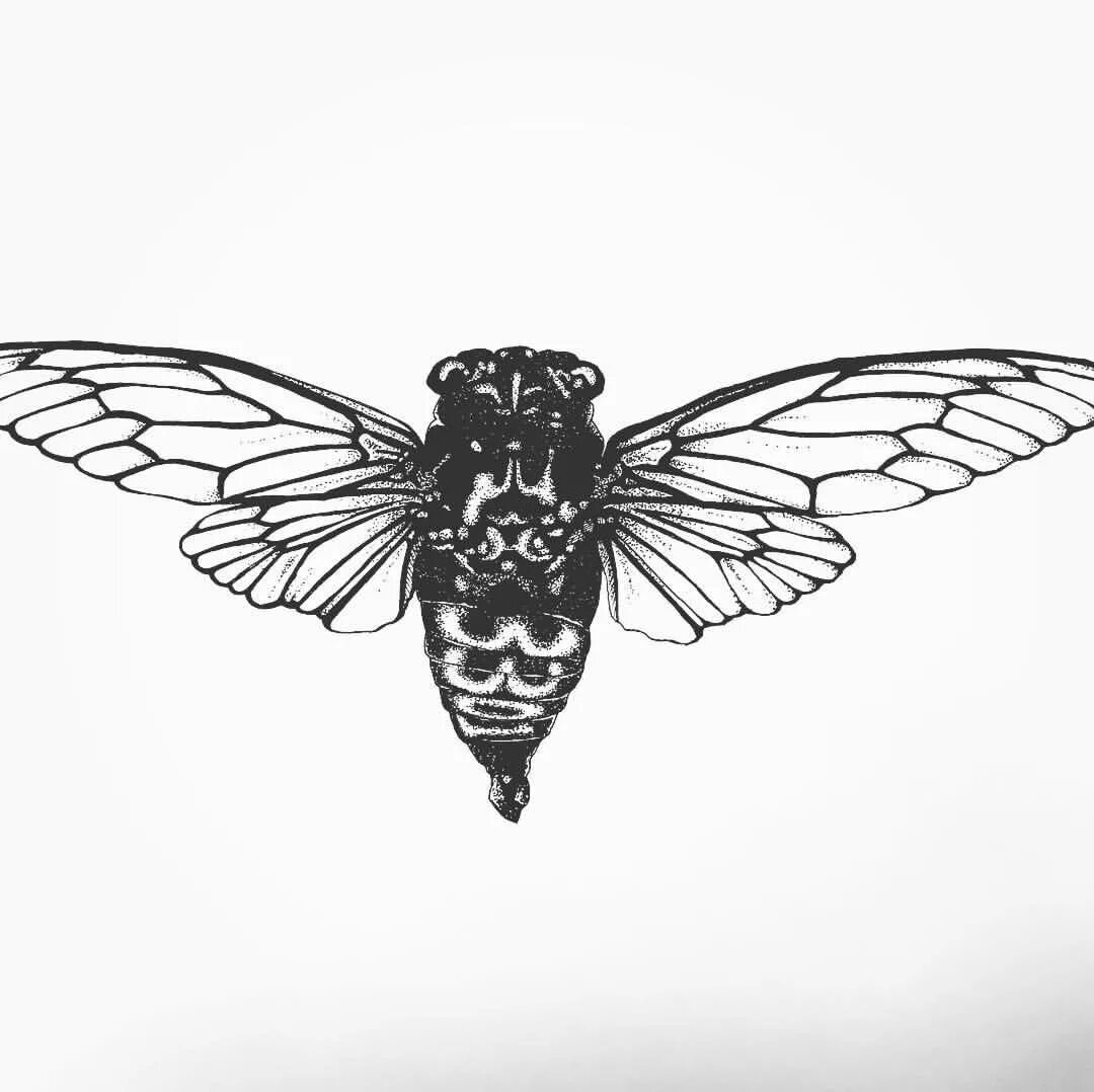 Цикада значение. Цикада 3301. цикада 3301 арт. cicada 3301 2025. цикада 3301 фильм.