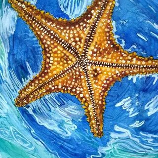 Как нарисовать морскую звезду ребенку