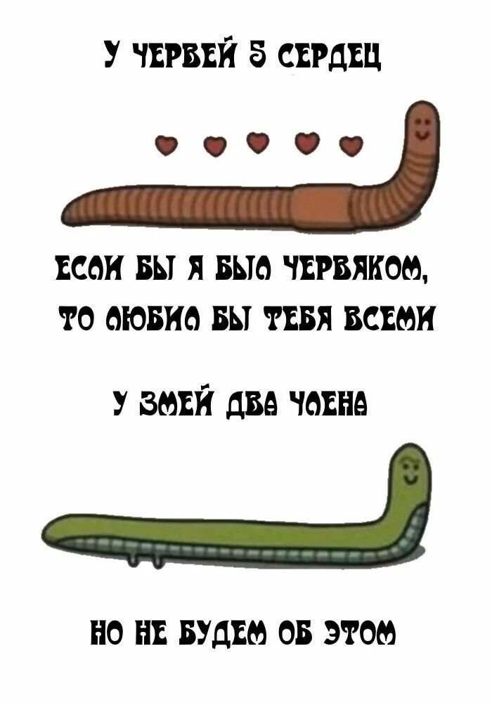 Анекдот про глиста. Анекдот про глисты и рыбака. Анекдот про червей. Цитаты про коллег. Анекдоты про рыбалку смешные.
