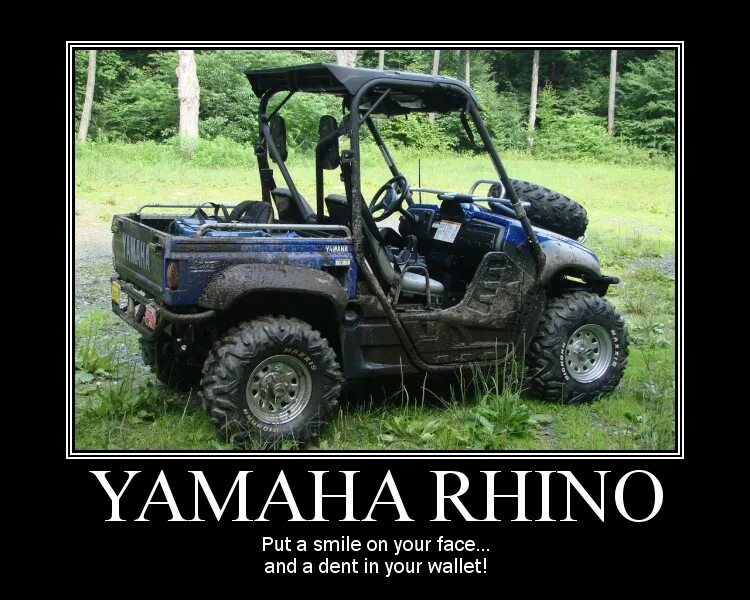 Yamaha Rhino 700. Квадроцикл Yamaha Rhino 2008. Квадроцикл в пикапе. Пикап для квадрика. Квадроцикл пикап